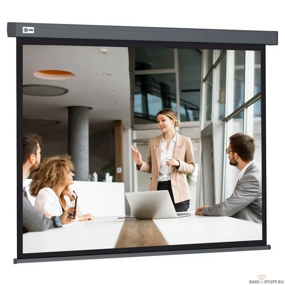 Экран Cactus Wallscreen CS-PSW-127X127-SG,  127х127 см, 1:1,  настенно-потолочный серый